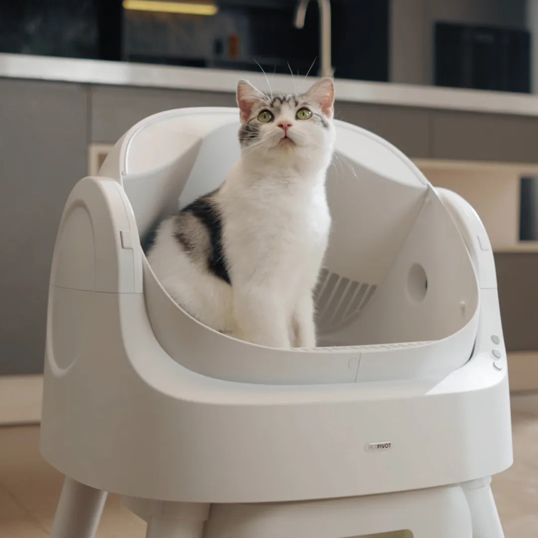 Smart Self-Cleaning Cat Litter Box