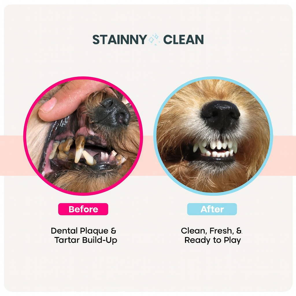 Dental Wipes