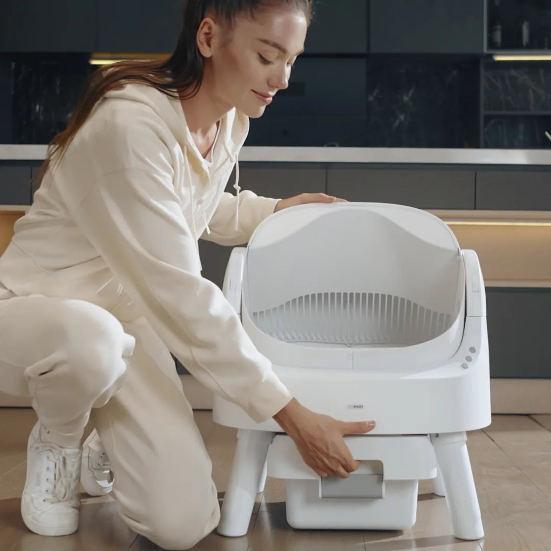 Smart Self-Cleaning Cat Litter Box