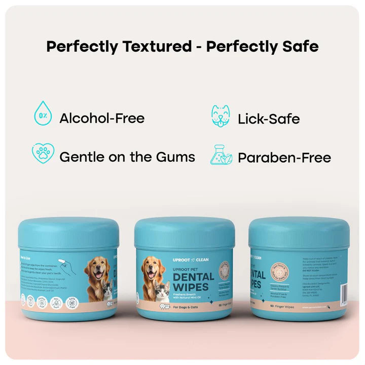 Dental Wipes