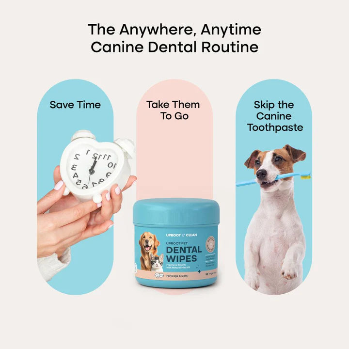 Dental Wipes