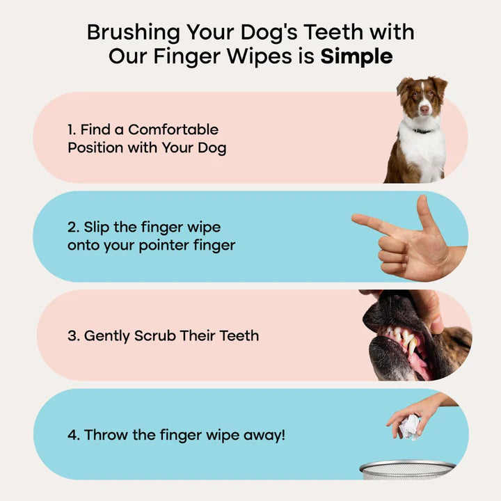 Dental Wipes