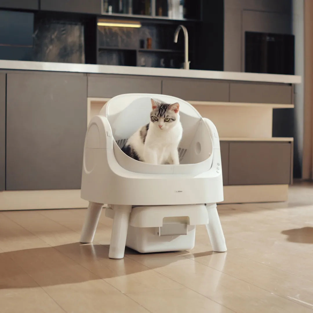 Smart Self-Cleaning Cat Litter Box