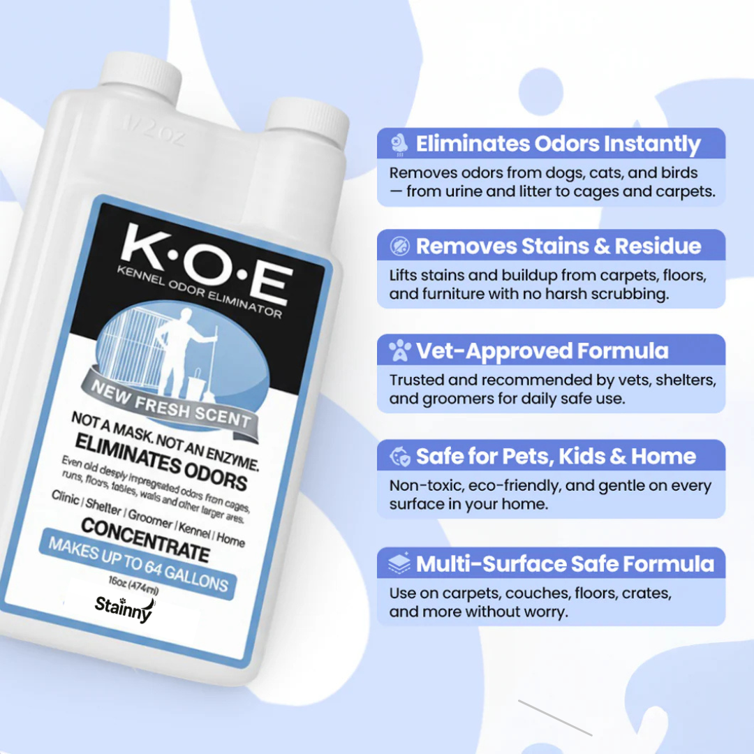 Pet Odor & Stain Eliminator