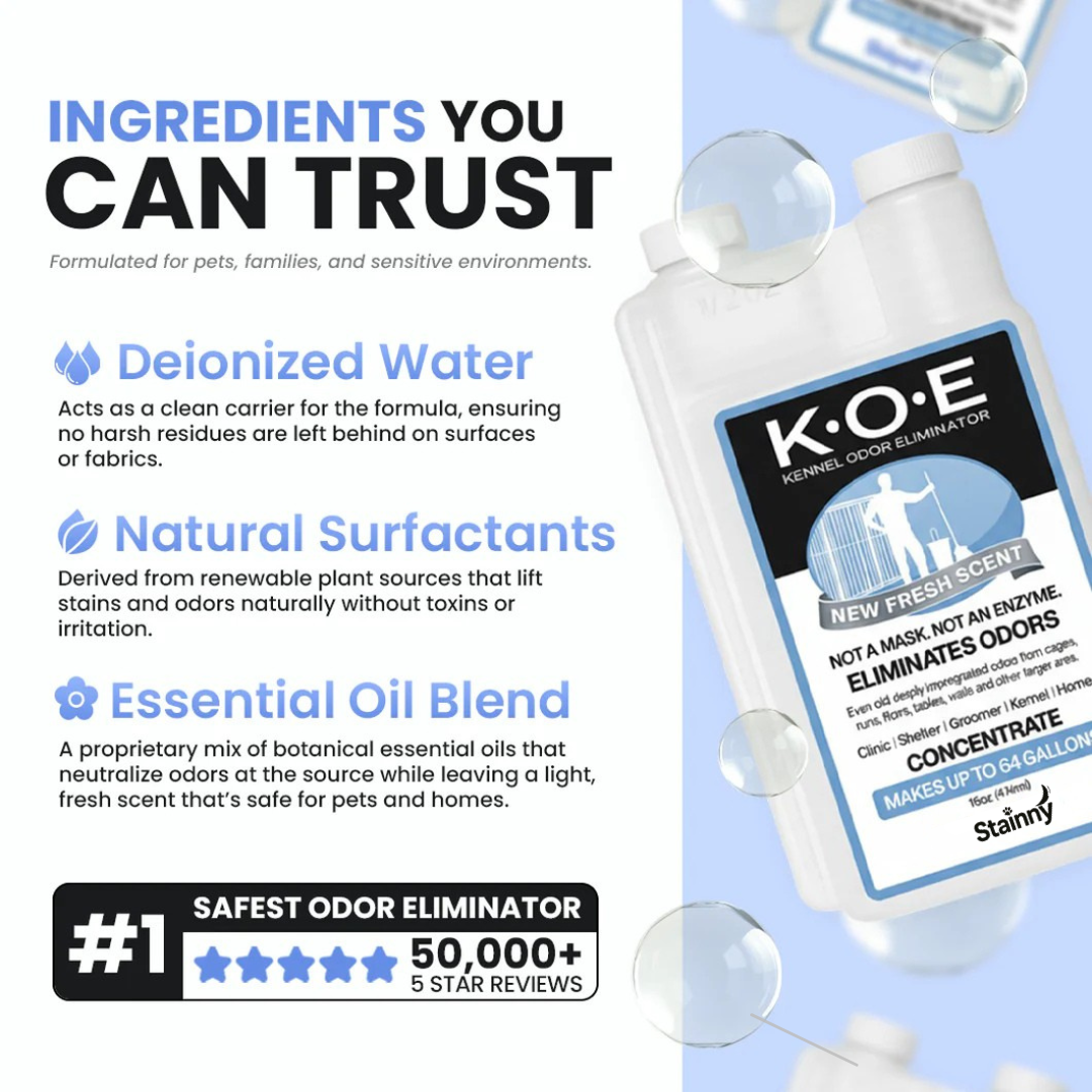 Pet Odor & Stain Eliminator