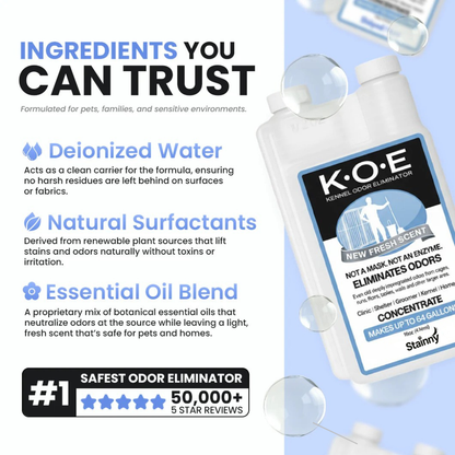 Pet Odor & Stain Eliminator